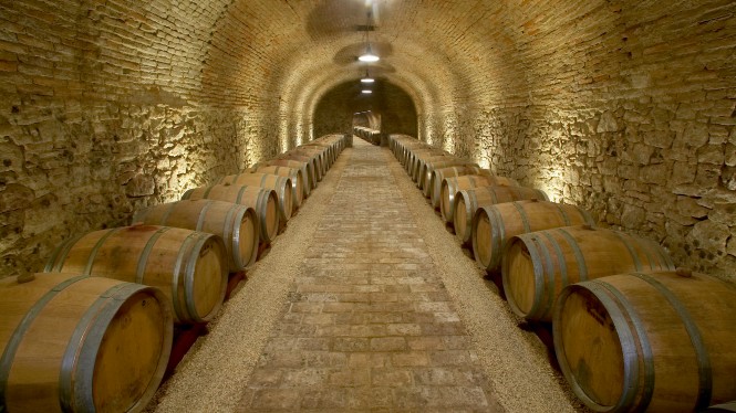 Weingut Fritz WIENINGER, Stammersdorf, Wien, Austria