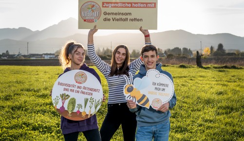 SPAR-Initiative prämiert vorwissenschaftliche Arbeiten von Wiener Maturant:innen