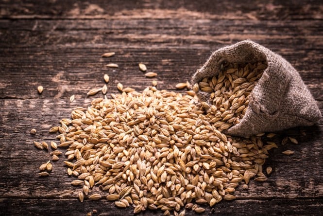 Gerste Barley on wooden table