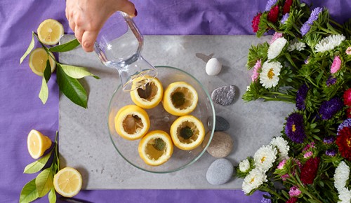 Zitronen mit Wasser befüllen