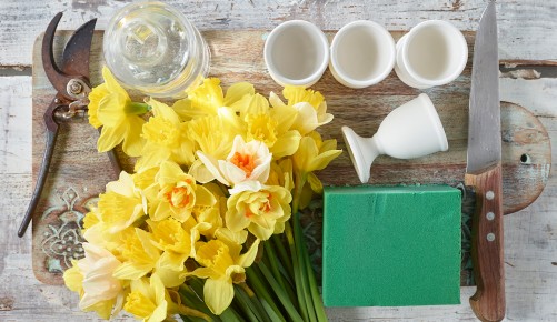Für die Osterdeko mit Narzissen benötigen Sie: Blumen, Steckschwamm, Eierbecher, Messer, Wasser, Zange