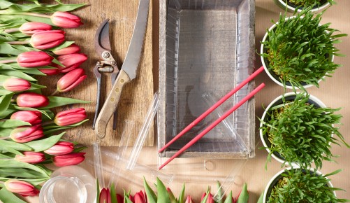 Tulpenwiese, Sie benötigen: Tulpen, Katzengras, Glasphiolen, Gartenschere, Messer, Pflanzengefäß, Stäbchen