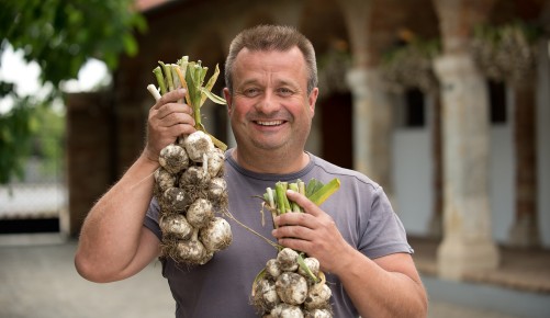 Bio-Knoblauch von Erich Stekovics