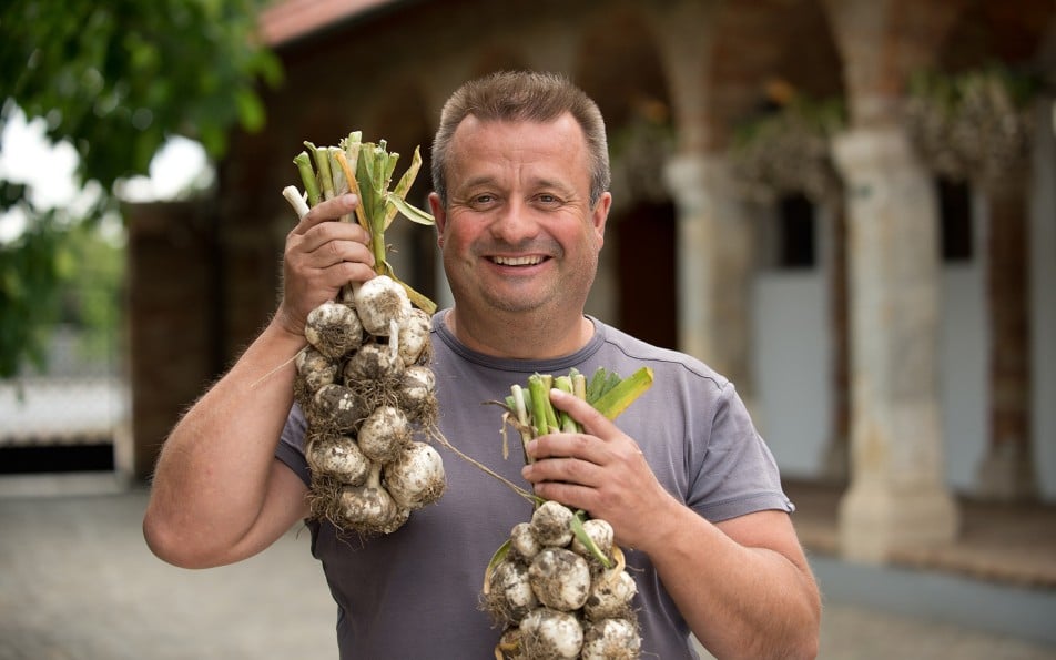Bio-Knoblauch von Erich Stekovics