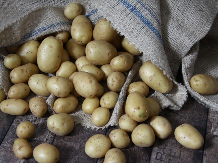 Heurige Kartoffeln rollen aus einem Kartoffelsack