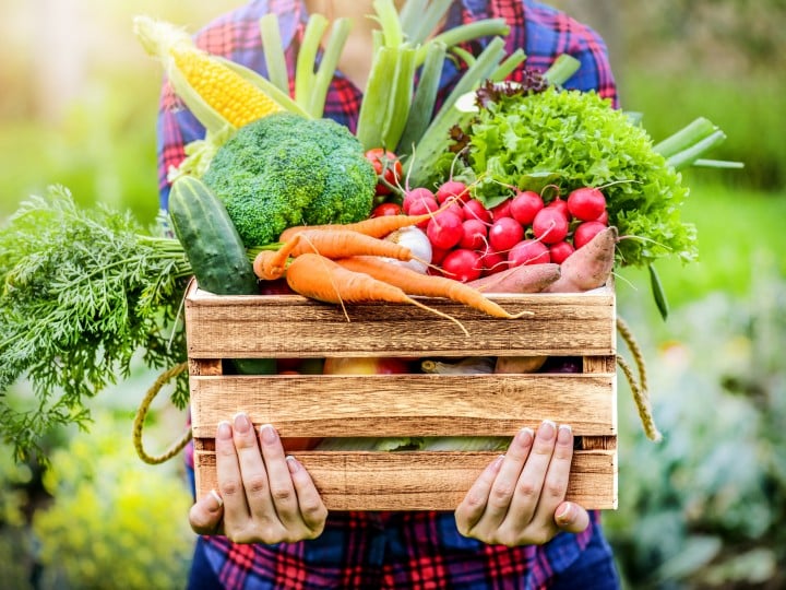 Obst und Gemüsekiste wird von armen gehalten. Die Kiste ist befüllt mit Obst und Gemüse