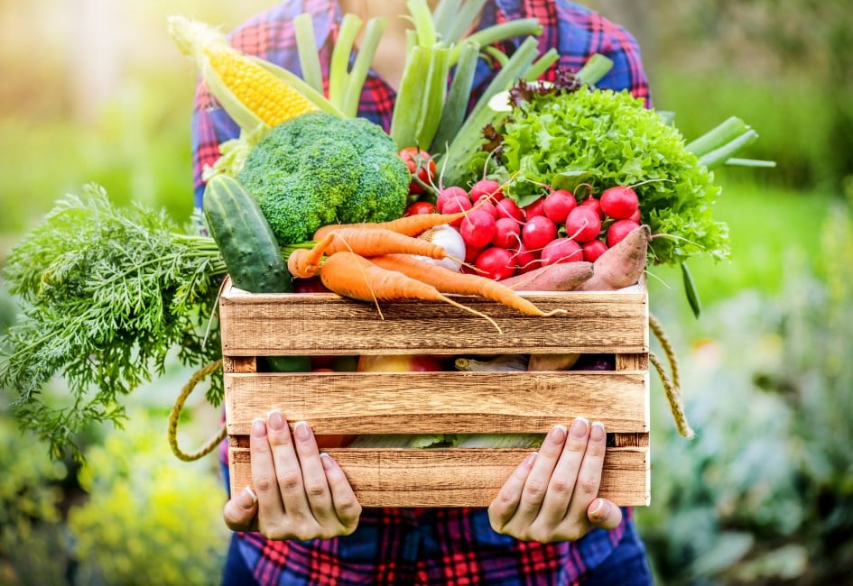 Obst und Gemüsekiste wird von armen gehalten. Die Kiste ist befüllt mit Obst und Gemüse