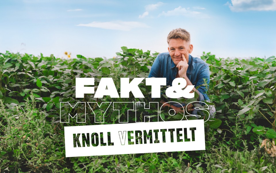Knoll (v)ermittelt Andi Knoll