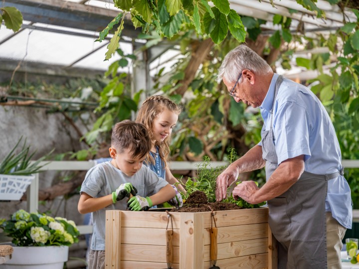 Garten Kampagne