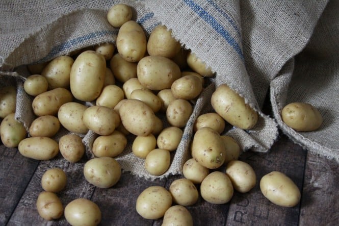 Heurige Kartoffeln rollen aus einem Kartoffelsack