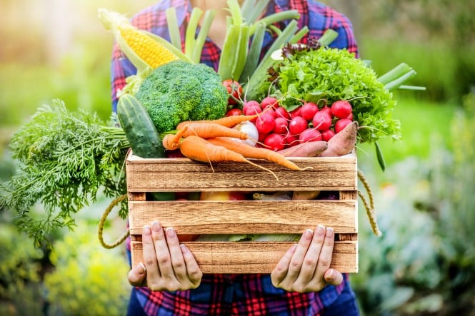 Obst und Gemüsekiste wird von armen gehalten. Die Kiste ist befüllt mit Obst und Gemüse