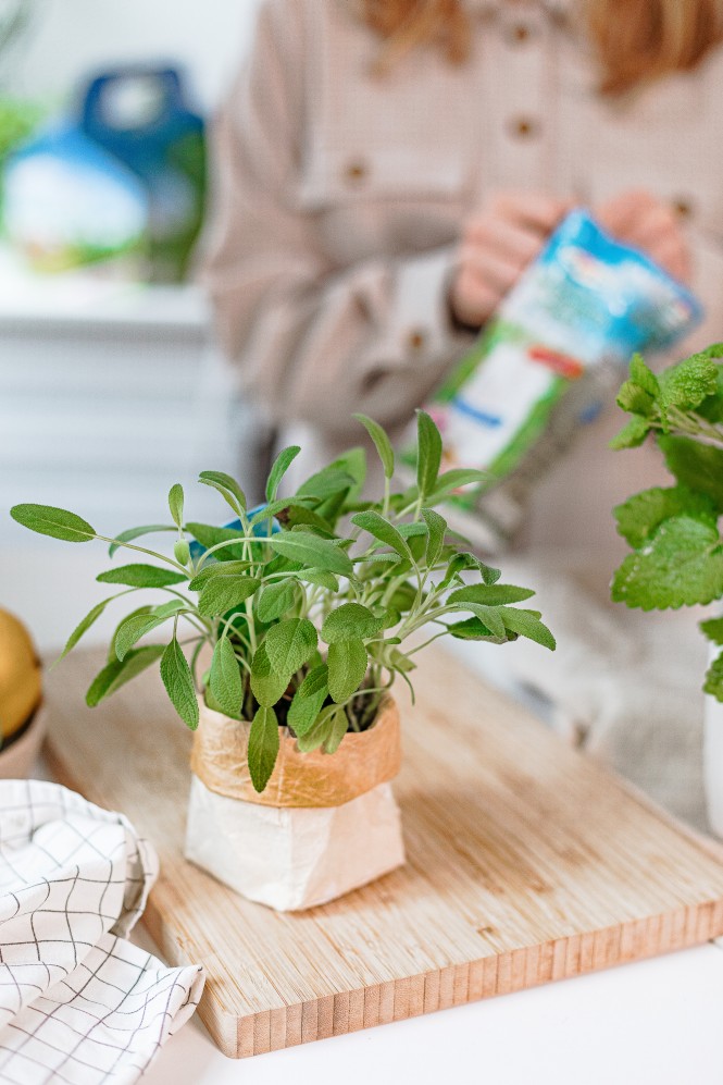 Upcycling Milchkarton
