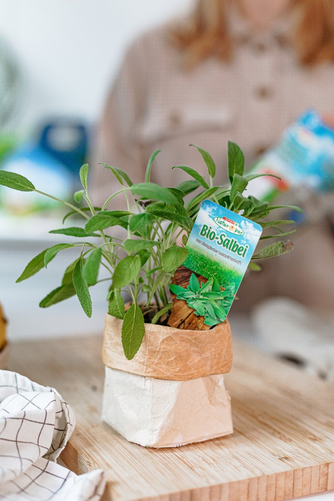 Upcycling Milchkarton