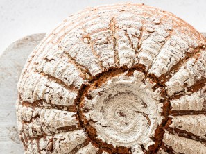 Sonnenblumenbrot, Backen mit Christina, Löwenzahnverlag, Das Große Brotbackbuch