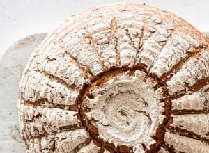 Sonnenblumenbrot, Backen mit Christina, Löwenzahnverlag, Das Große Brotbackbuch