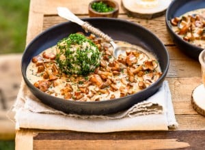 Klassisches Eierschwammerlgulasch mit Thymian-Semmelknödel