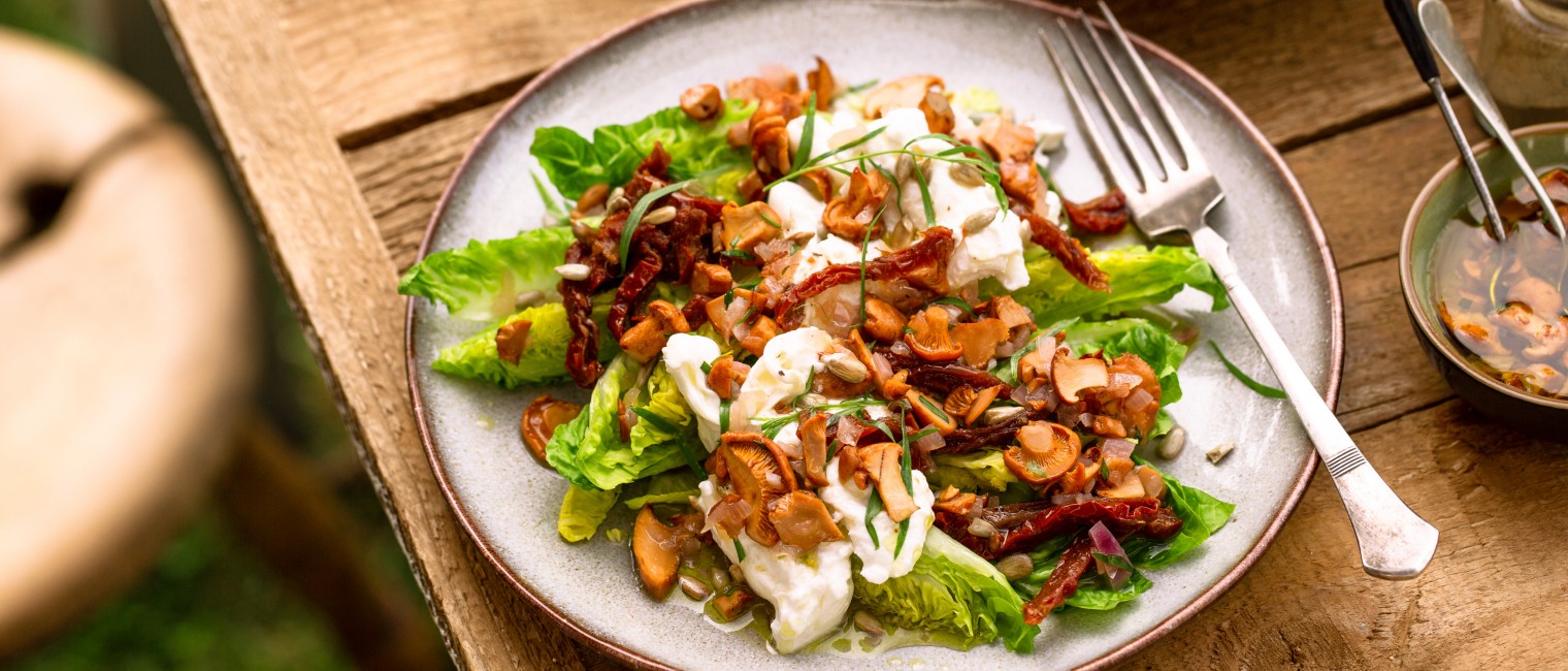 SPAR Mahlzeit Marinierte Kopfsalatherzen mit Eierschwammerlvinaigrette und Burrata