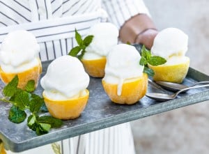 Erfrischendes Zitronensorbet