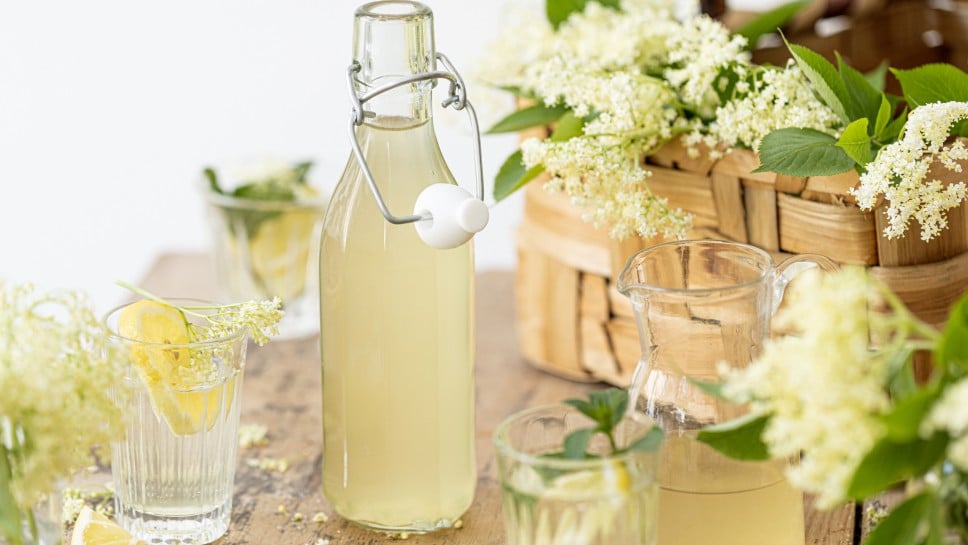 SPAR Mahlzeit Holundersirup