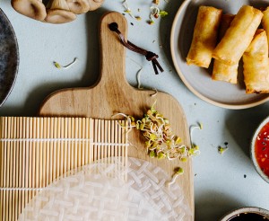 Bild mit asiatischen Gerichten wie Sushi, Frühlingsrollen, und Gyoza