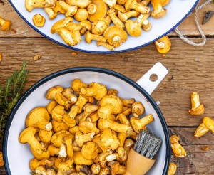 SPAR Mahlzeit Endlich Eierschwammerl Inspiration Header
