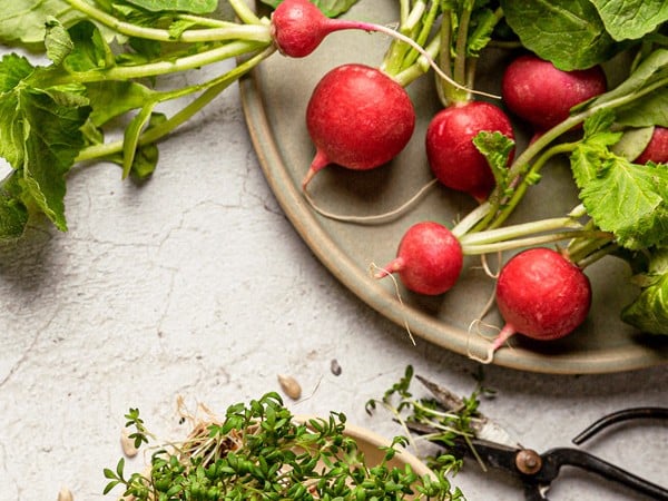 SPAR Mahlzeit Frühlingsküche Inspiration Teaser