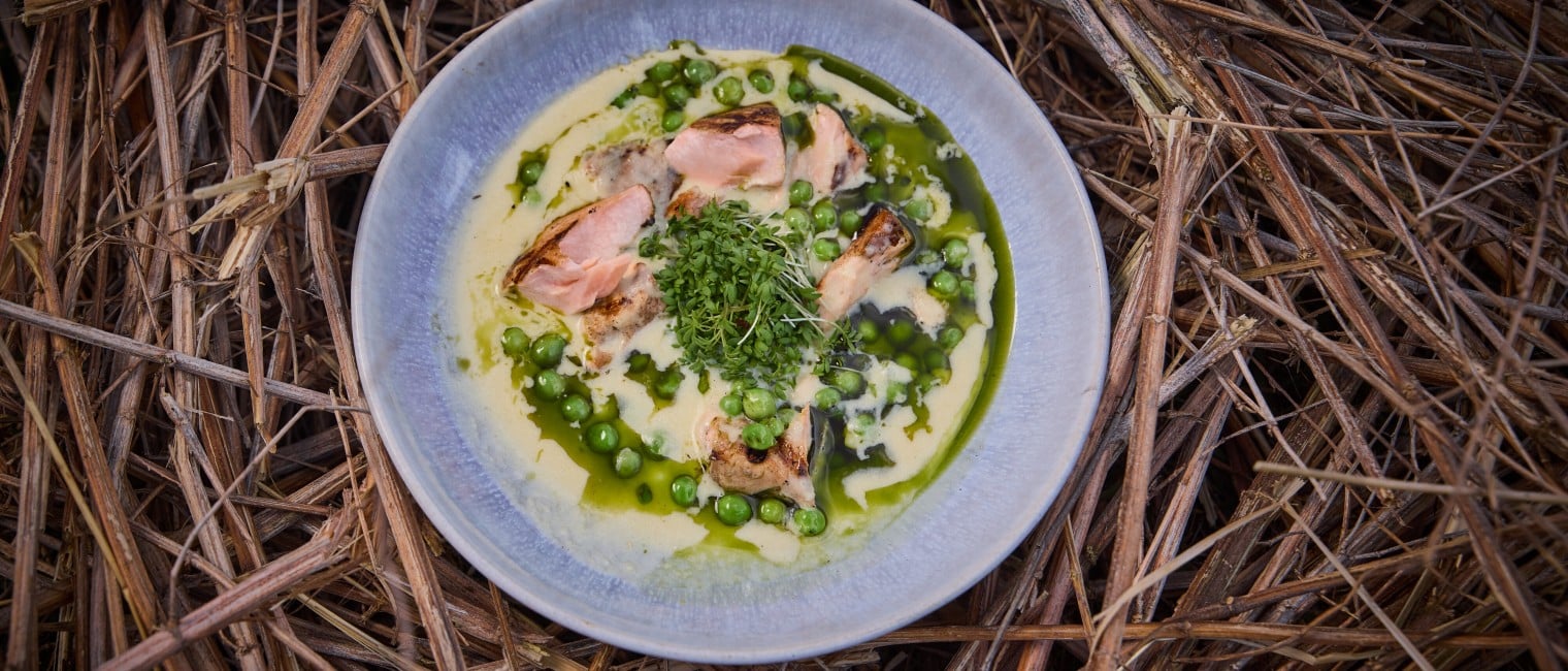 Kresse-Erdäpfelsuppe mit gegrillter Lachs und frische Erbsen