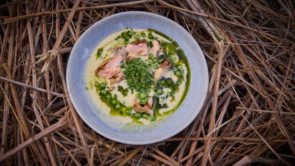 Kresse-Erdäpfelsuppe mit gegrillter Lachs und frische Erbsen