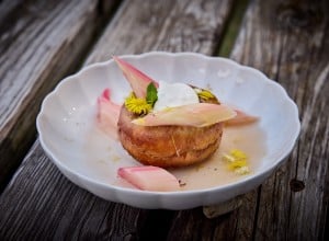 Savarin Rhabarber | Huflattich | Rum