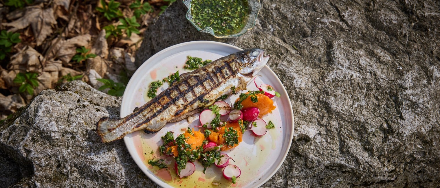 Forelle mit Löwenzahn-Chimichurri, Radieschen und Süßkartoffel