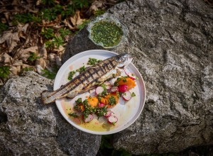 Forelle mit Löwenzahn-Chimichurri, Radieschen und Süßkartoffel