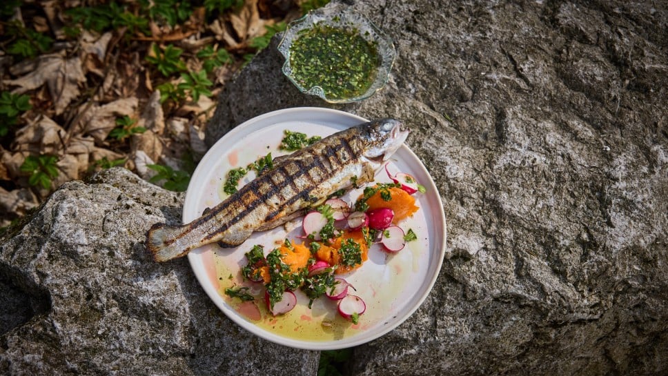 Forelle mit Löwenzahn-Chimichurri, Radieschen und Süßkartoffel