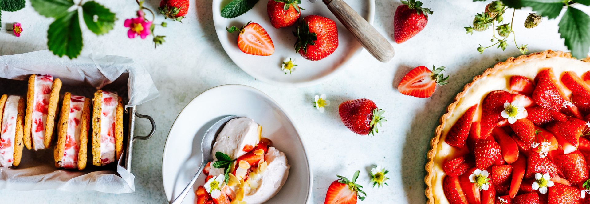 Header Erdbeeren