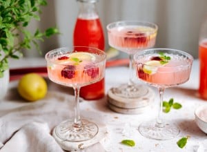 Rhabarber Limo mit frischer Minze 