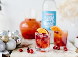 SPAR Mahlzeit Cranberry Fizz