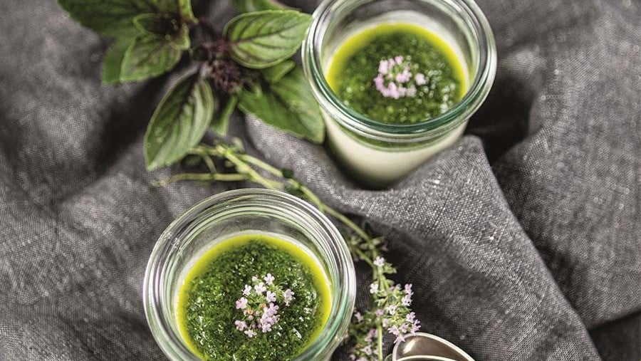 SPAR Mahlzeit Panna Cotta