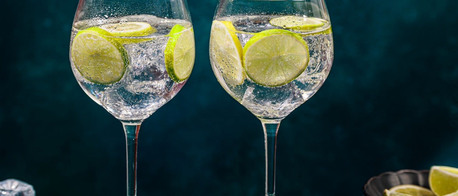  No Gin Tonic