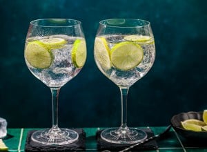  No Gin Tonic