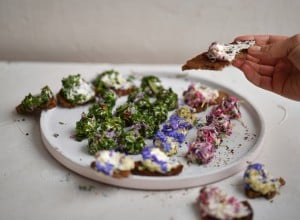 SPAR Mahlzeit Schafskäse im Kräutermantel