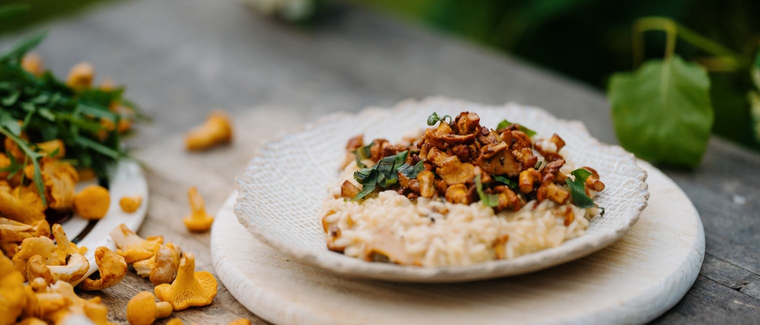 Eierschwammerl-Risotto