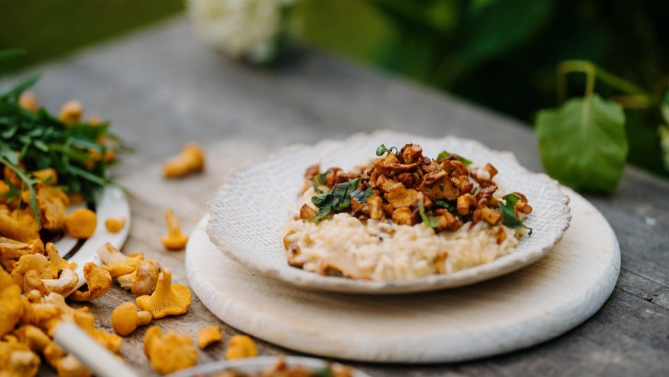 Eierschwammerl-Risotto