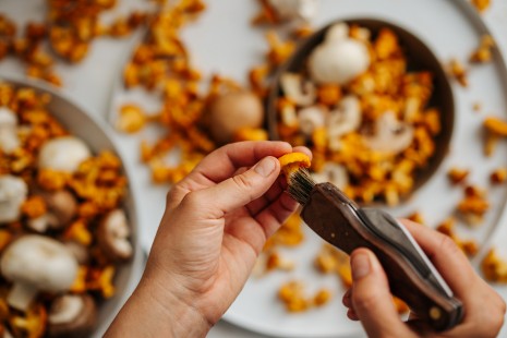 SPAR Mahlzeit!, How To, Tici Kaspar, Pilze putzen