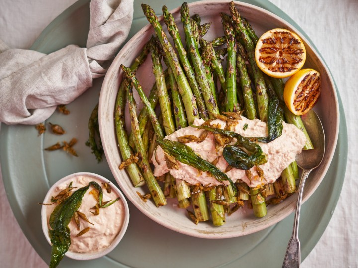 Spargel Tonnato