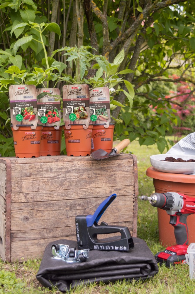 SPAR Mahlzeit Urban Gardening