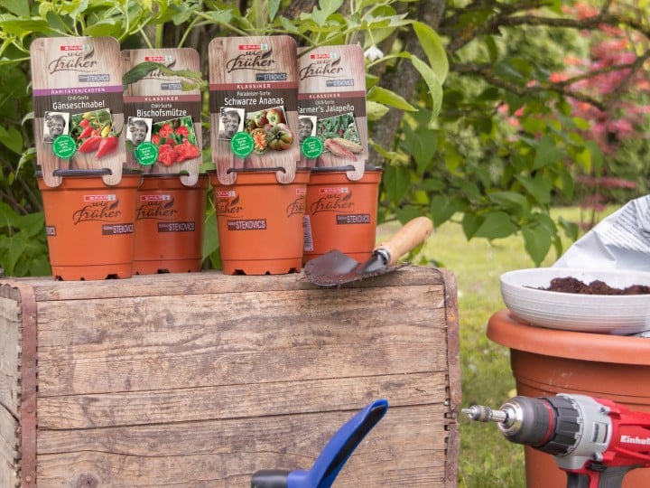 SPAR Mahlzeit Urban Gardening