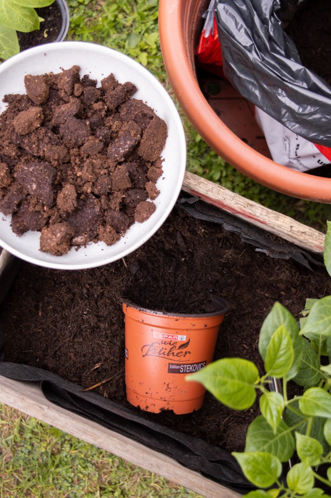 SPAR Mahlzeit Urban Gardening