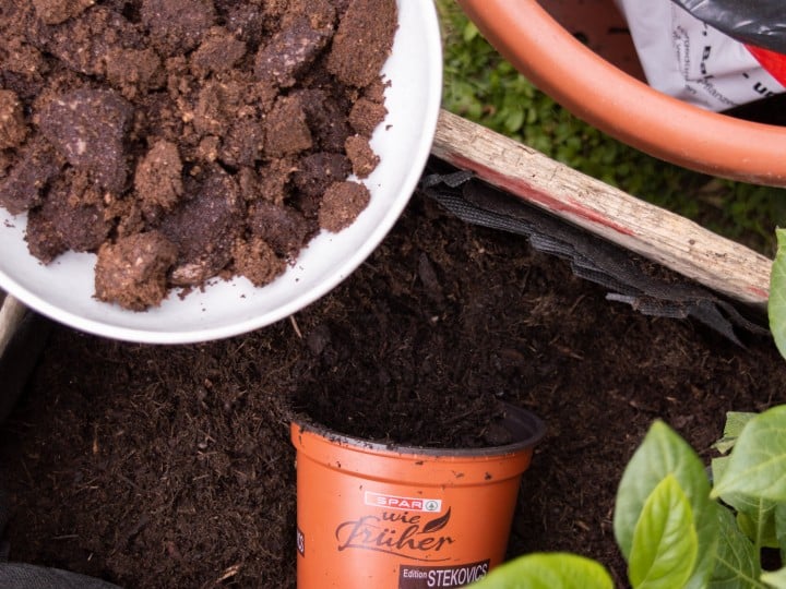 SPAR Mahlzeit Urban Gardening