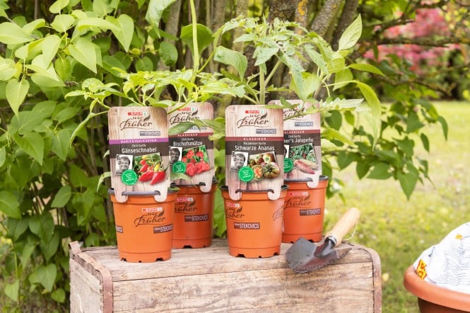 SPAR Mahlzeit Urban Gardening
