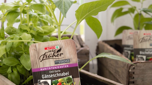 SPAR Mahlzeit Urban Gardening