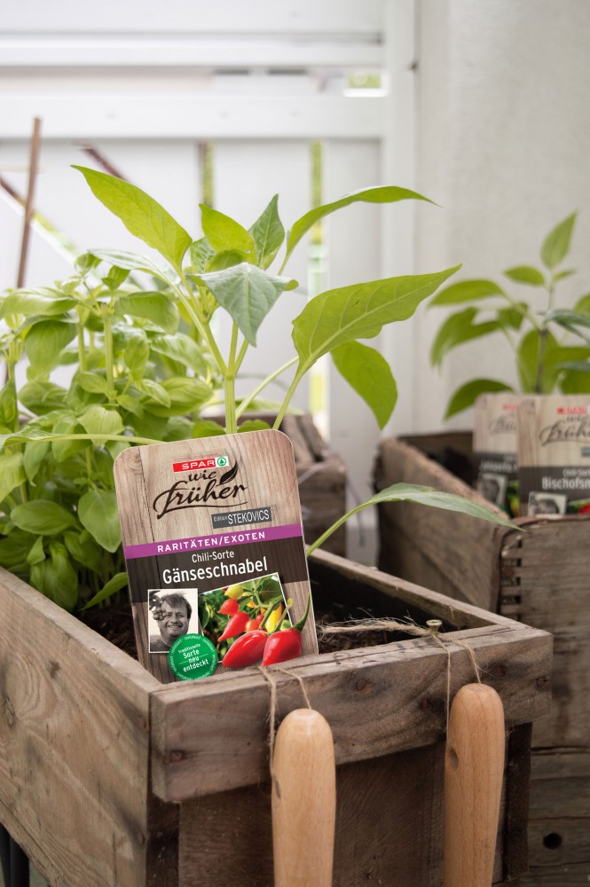 SPAR Mahlzeit Urban Gardening